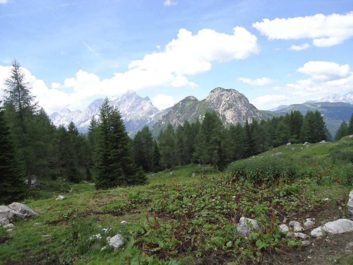 Sweet Home Cortina d'Ampezzo Exterior photo